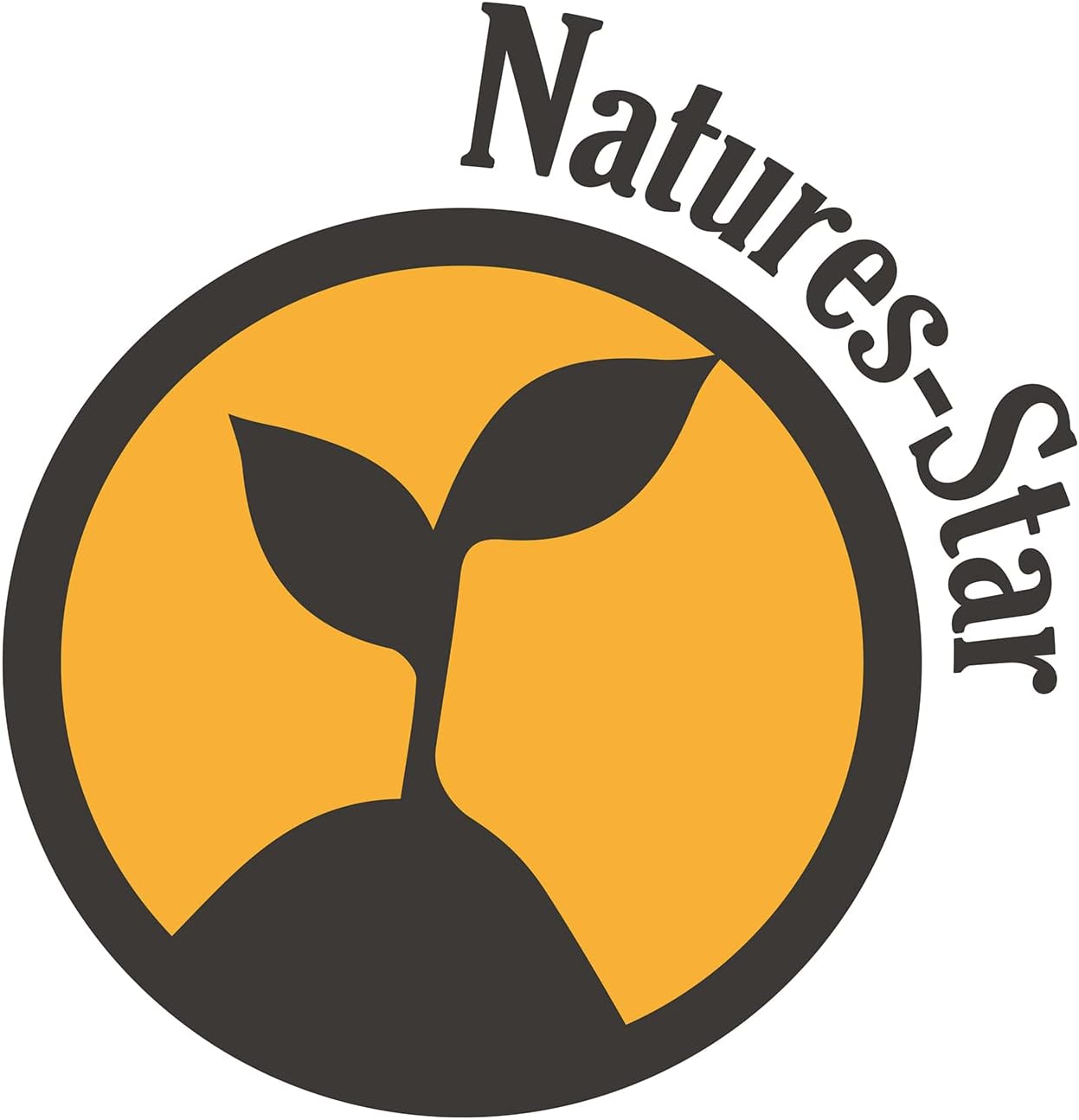 Natures-Star Lavender Essential Oil, 16 Ounce, Therapeutic Grade for Aromatherapy, Candle & Soap Making, Diffusers & Home, Lavender Oil