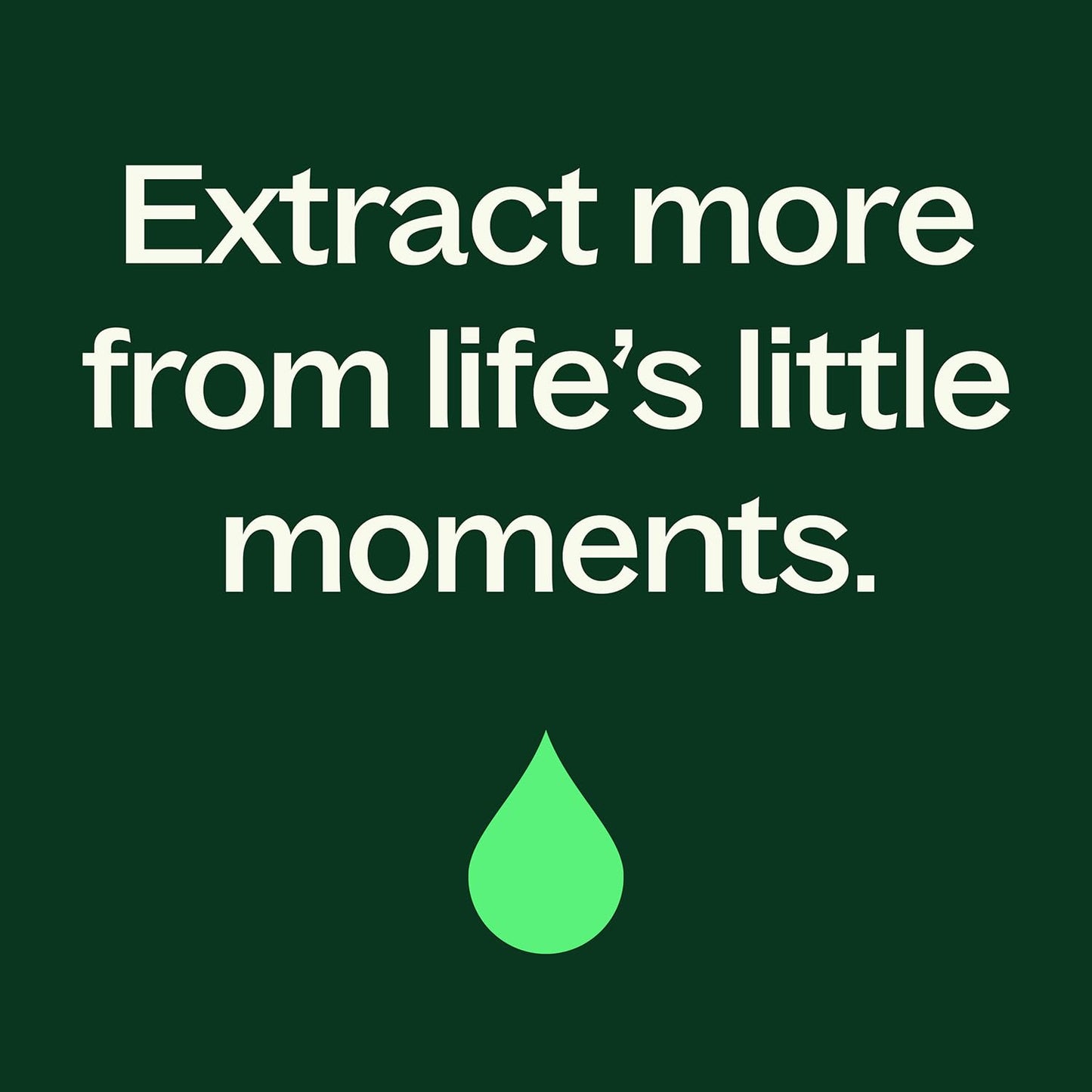 Plant Therapy Organic Clove Bud Essential Oil, 10 mL (1/3 oz), 100% Pure and Undiluted, USDA Certified Organic, Fresh and Spicy Scent, Great for Aromatherapy