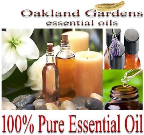 GRAPEFRUIT PINK Essential Oil (30 mL Euro Dropper) - 100% PURE Therapeutic Grade Essential Oil - Citrus paradisi - Essential Oil By Oakland Gardens