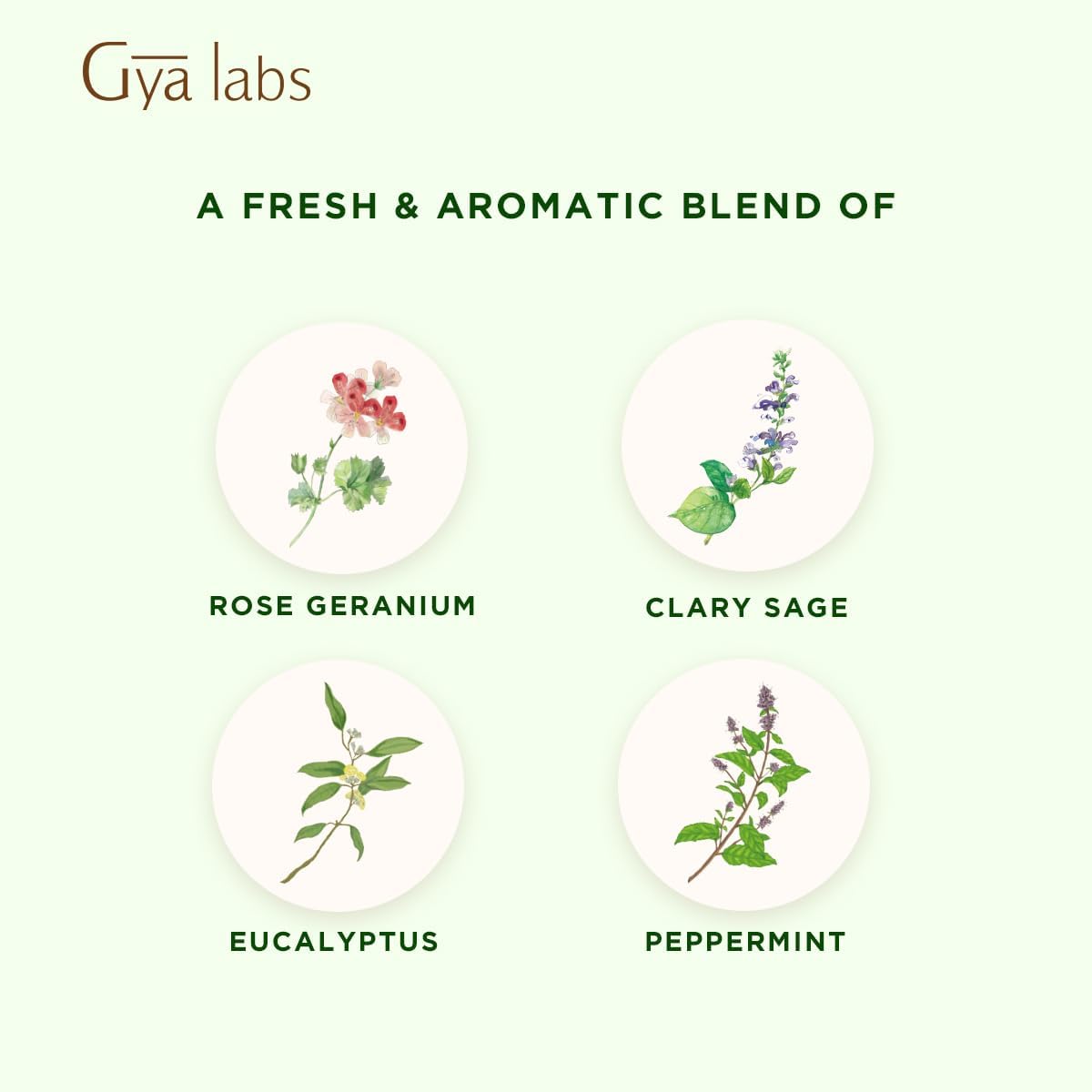 Gya Labs Focus Booster Essential Oils Blends - 0.34 Fl Oz - for Diffuser, Home, Humidifier, Aromatherapy and DIY Candle Making Scents