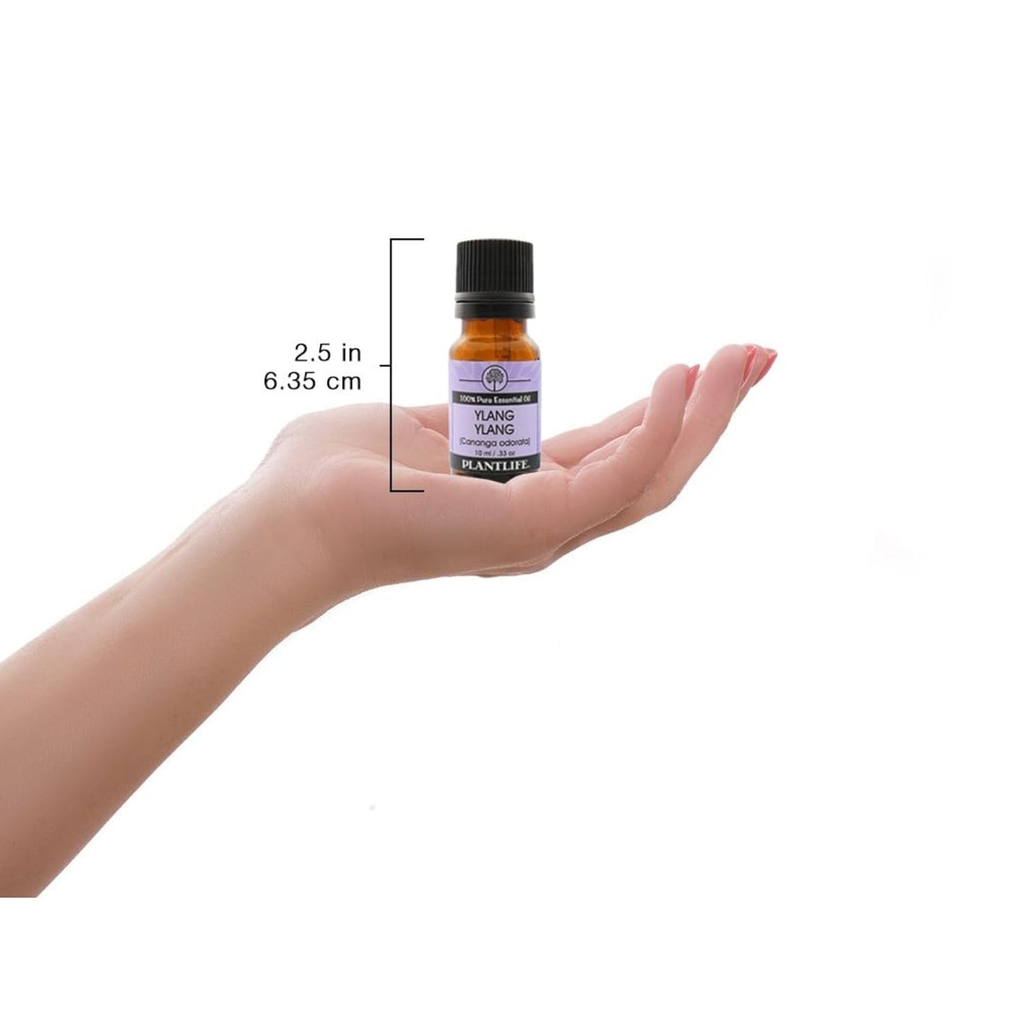 Plantlife Ylang Ylang Aromatherapy Essential Oil - Straight from The Plant 100% Pure Therapeutic Grade - No Additives or Fillers - 10 ml