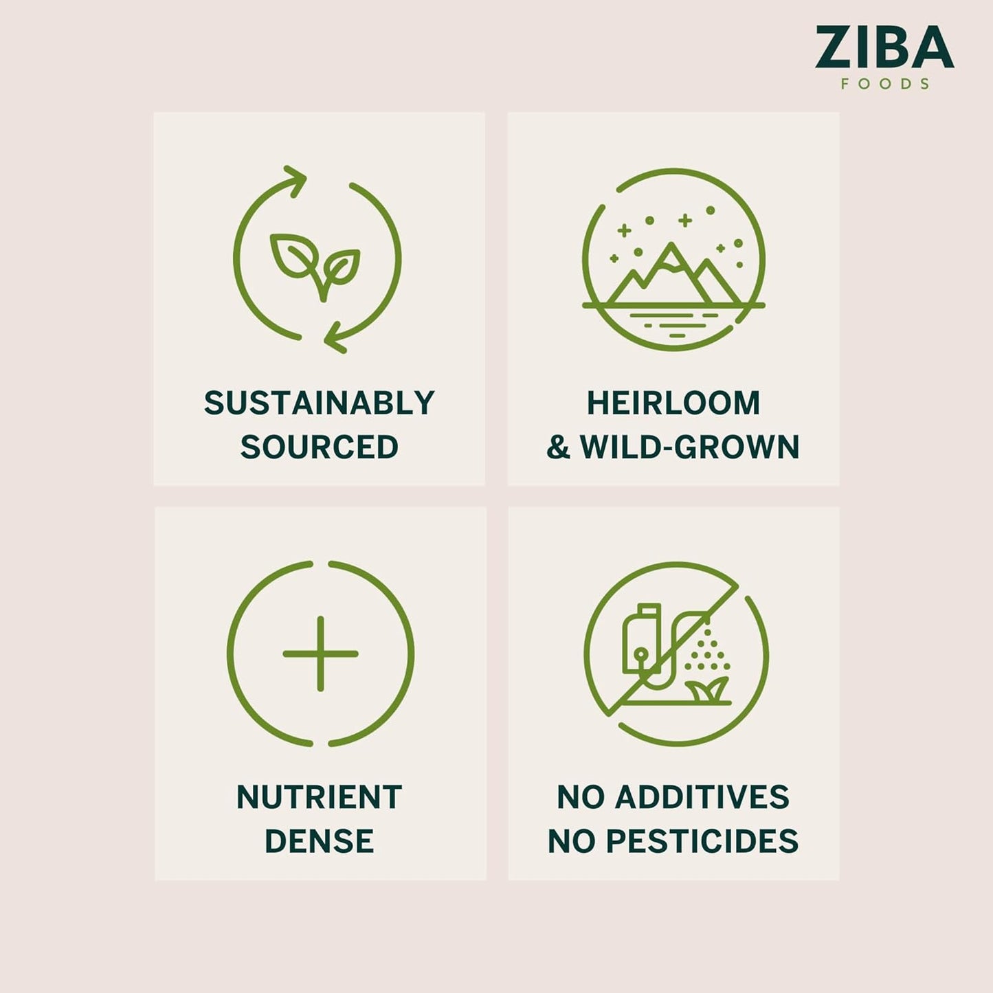 Ziba Foods Wild Grown Sweet Apricot Kernels | Non-GMO, Vegan, Whole 30 Friendly & Keto, Paleo, Dry Roasted Superseed | Wild Grown Superfood Naturally High In Vegan Protein and Omega 3s, Pack of 6