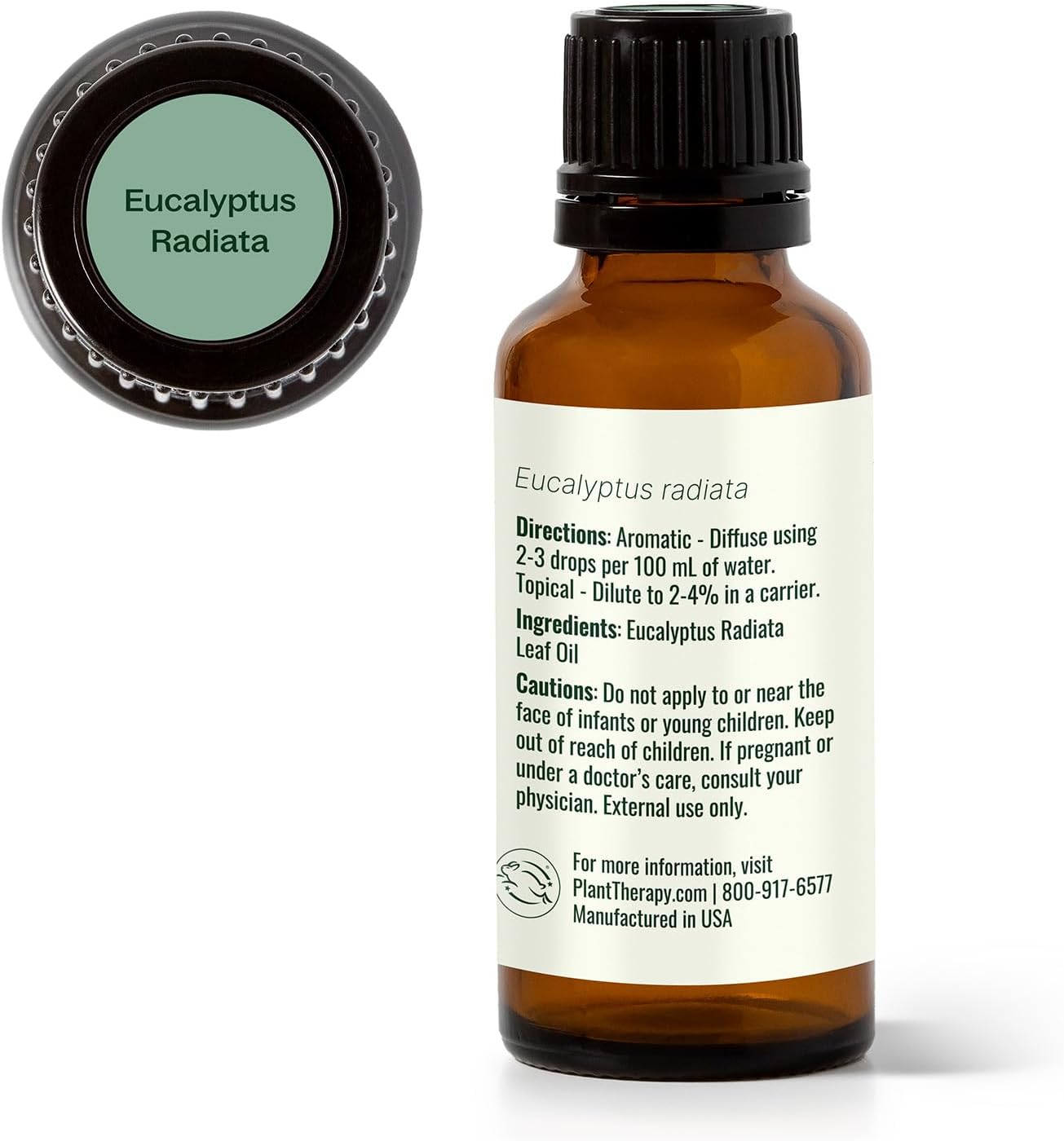 Plant Therapy Eucalyptus Radiata Essential Oil 30 mL (1 oz), 100% Pure, Undiluted, for Aromatherapy, Respiratory Support & Focus