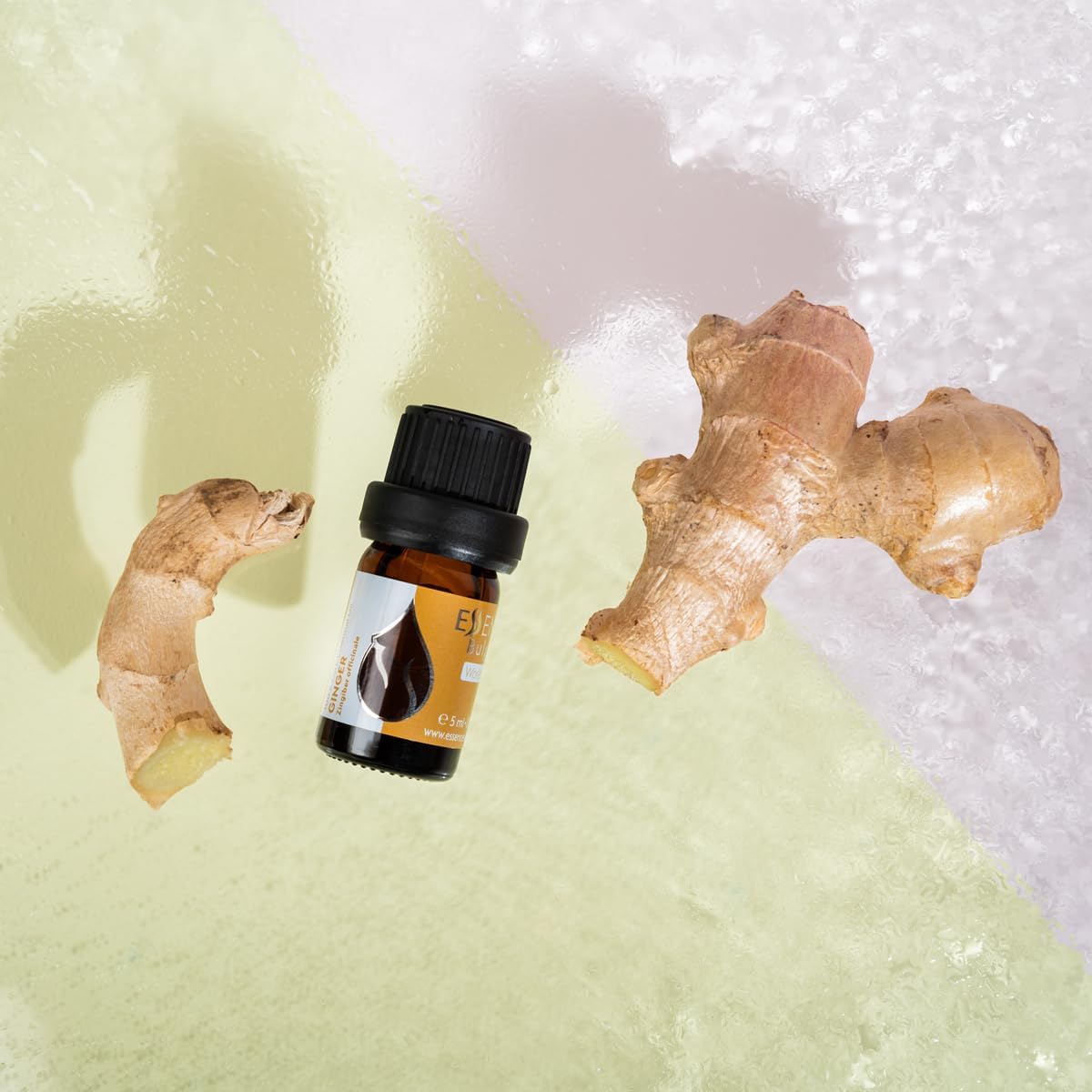 Essences Bulgaria Organic Ginger Essential Oil 0.17 Fl Oz 5ml Zingiber officinale - 100% Pure Natural Undiluted Therapeutic Grade Aromatherapy Oil for Diffuser Humidifier Lymphatic Drainage Massage