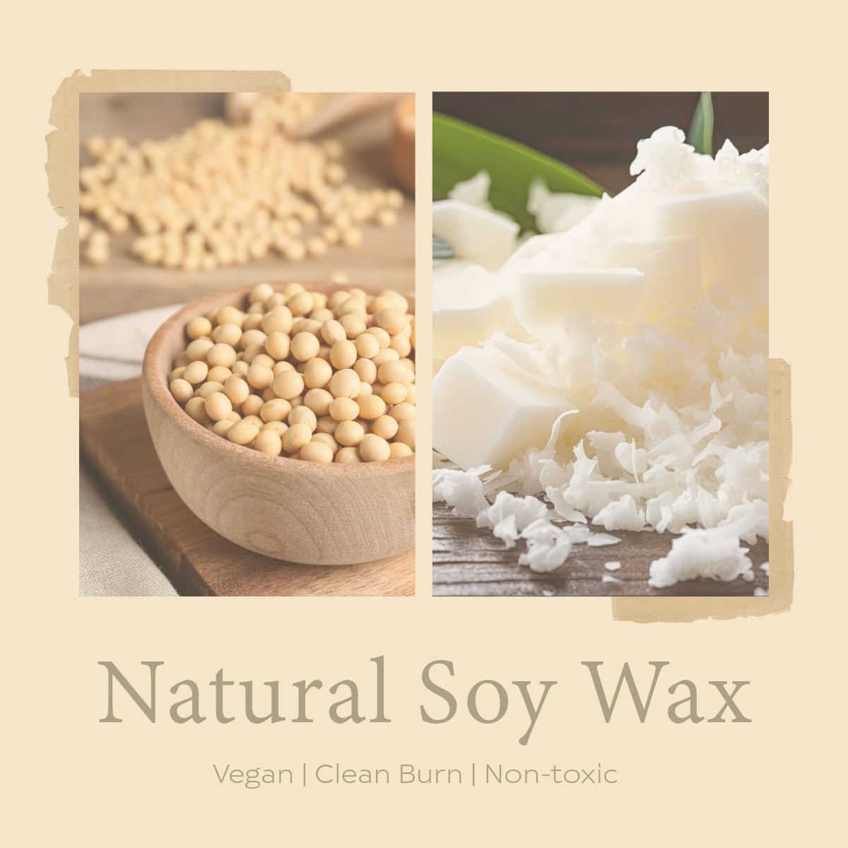 Coconut Vanilla Scented Candle– 7oz Soy Wax | Coconut and Vanilla Cozy Sensual Aroma | Long Lasting Highly Scented Candle for Women | Warm Gourmand Fragrance | Gift for Her, Bedroom or Bath