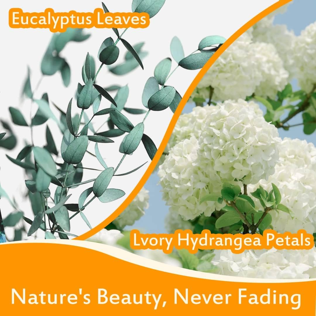 Real Dried Ivory White Hydrangea Flower & Eucalyptus Petals - 3000+ Natural Fragrant Confetti for Wedding, Flower Girl Baskets, Aisle Decor, Scented Sachets, Spring Potpourri Bags, Air Freshener