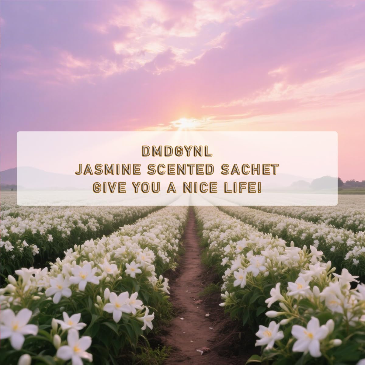 Jasmine Scented Sachet Bags - 12 Pack Home & Car Freshener, Odor Eliminator for Closets, Rooms, Drawers, Wardrobes, Toilets, Long - Lasting 360 - Day Fragrance