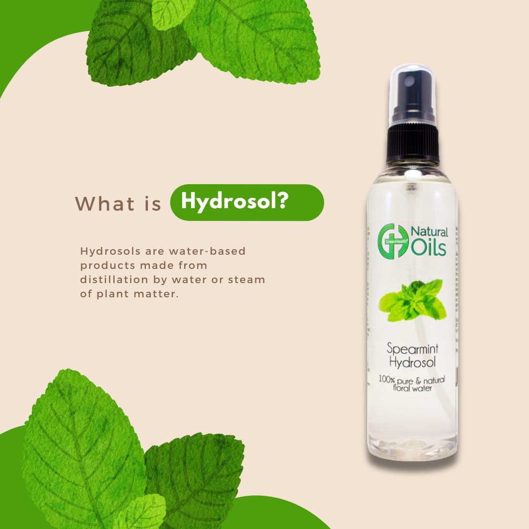 Spearmint Hydrosol (Floral Water) - 16 fl oz Plastic Jug w/Cap - 100% Pure (NOT Oil) - GreenHealth