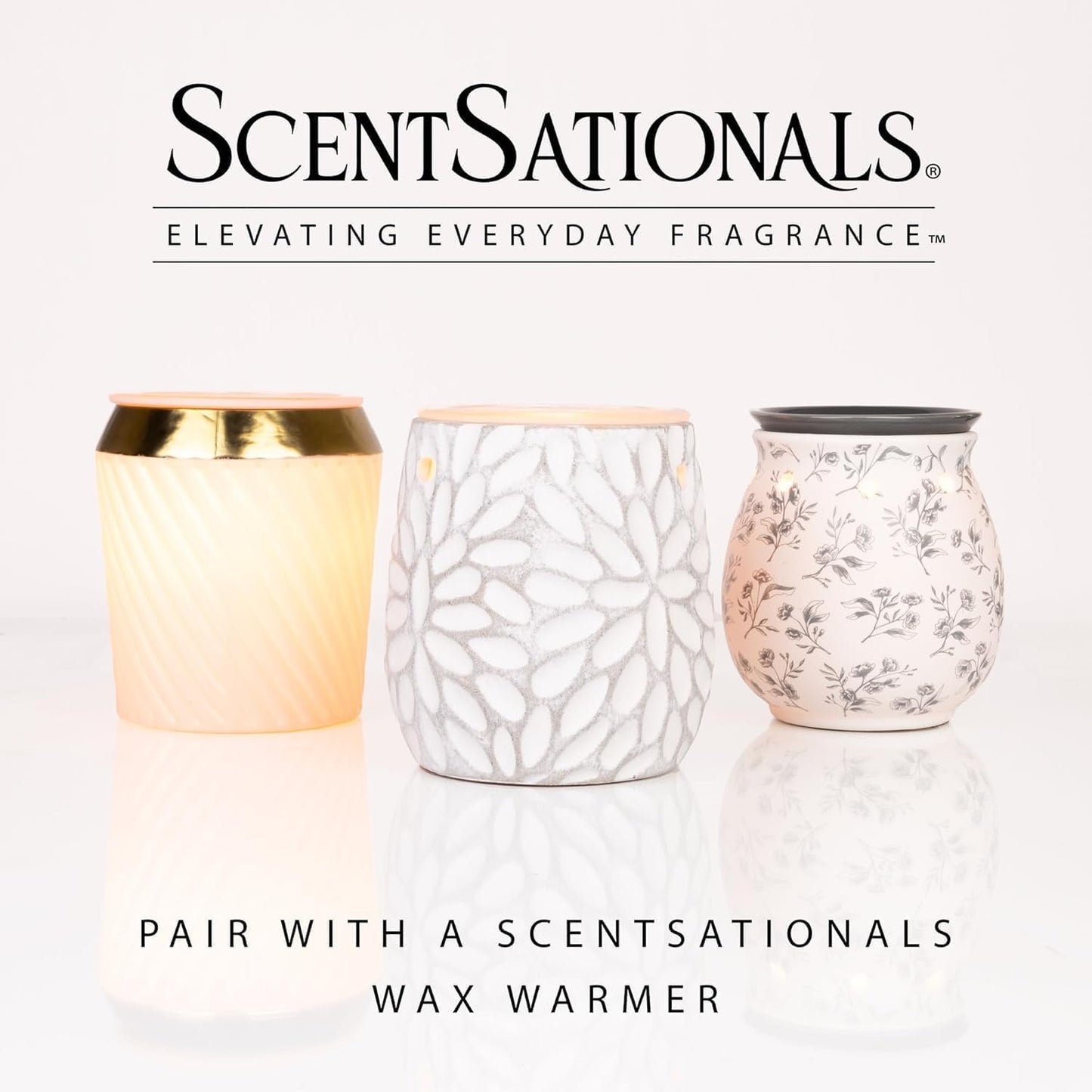 Scentsationals Seashore Splash Scented Wax Melts - Ocean Breeze, Warm Driftwood, & Lavender, 10oz (24 Cubes)