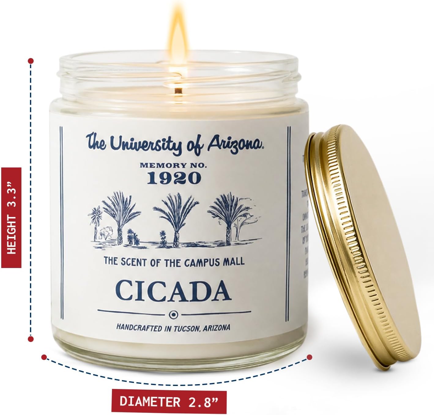 CICADA Campus Mall Scented Candle, Memory No. 1920, University of Arizona Inspired Coconut-Soy Blend Wax, Fresh Cut Grass Green Stems Desert Air Aroma, Hand Poured Arizona Reveries Home Fragrance