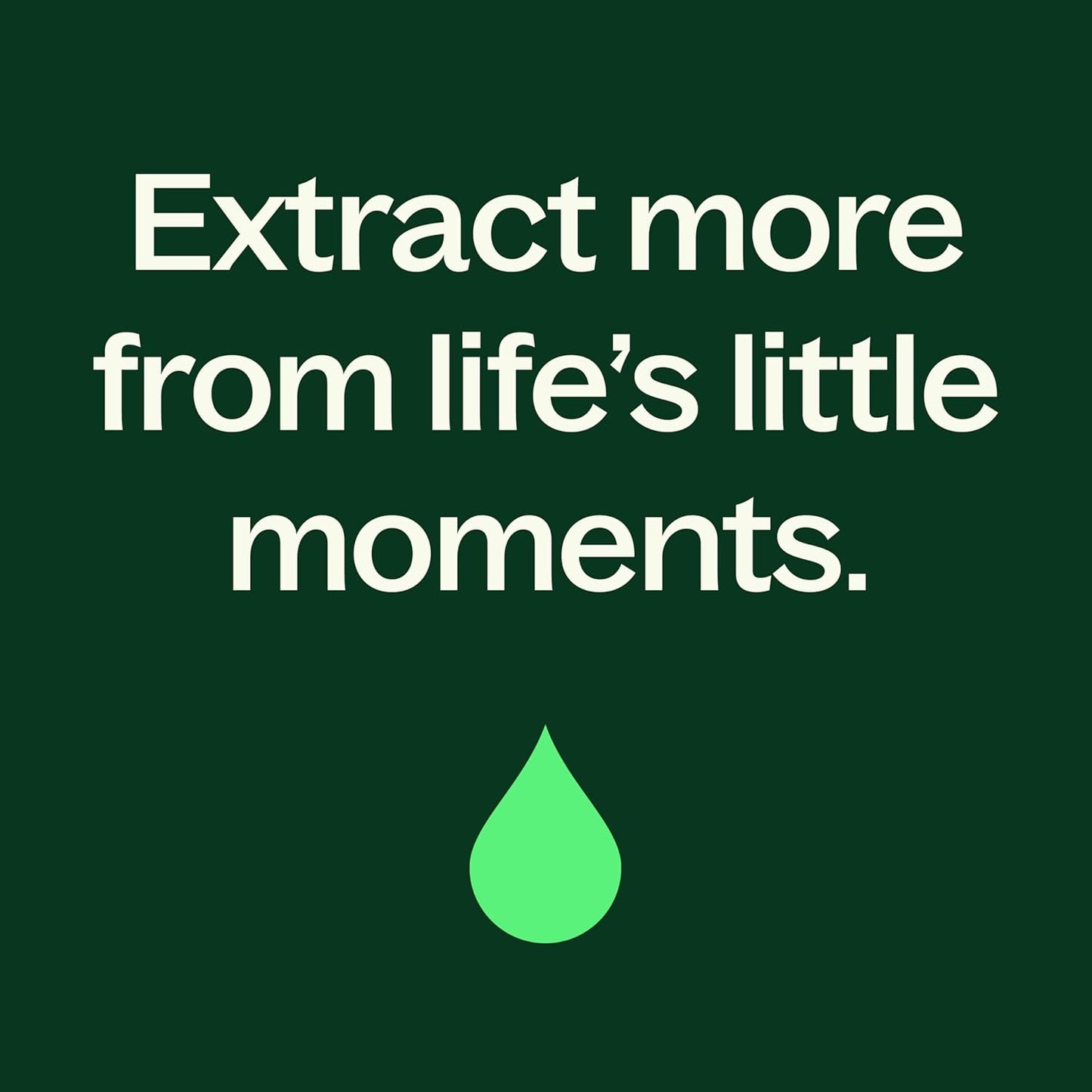 Plant Therapy Black Pepper Essential Oil 10 mL (1/3 oz) 100% Pure, Undiluted, Therapeutic Grade