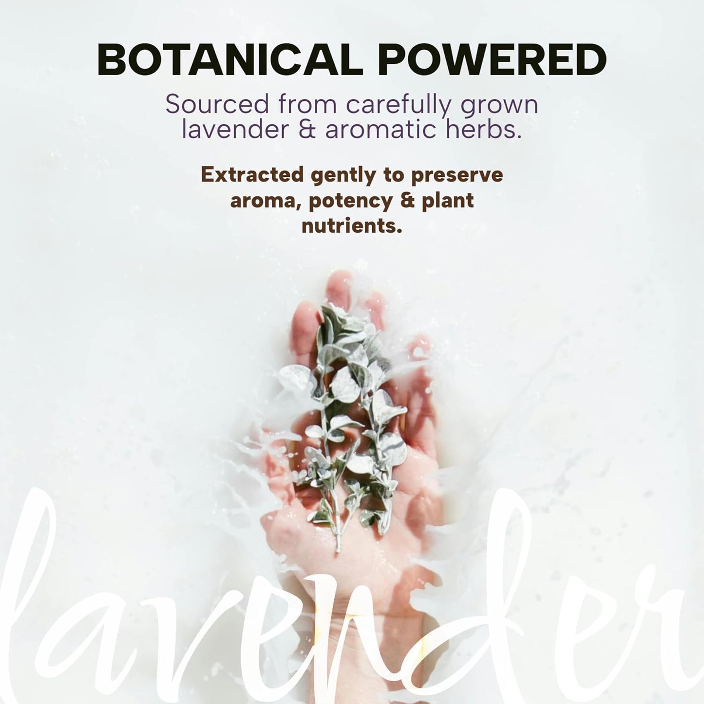 Dr. Lavender Natural Rosemary Essential Oil - 100% Botanical Scent for Hair Appearance & Scalp Massage - Revitalizing Aroma for Diffuser & Home Fragrance - 10ml