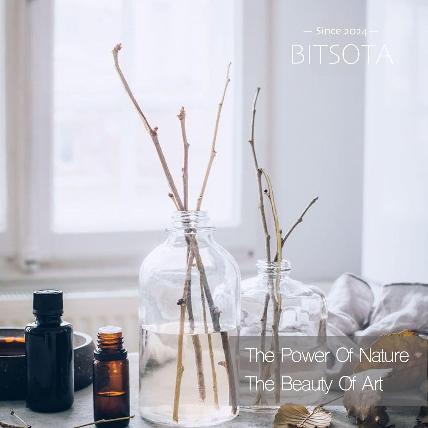 Reed Diffuser Set, Eucalyptus & Citrus 3.52 oz (100ml) Scented Diffuser with Sticks Home Fragrance Reed Diffuser for Bathroom Shelf Decor, Ideal Gift for Woman