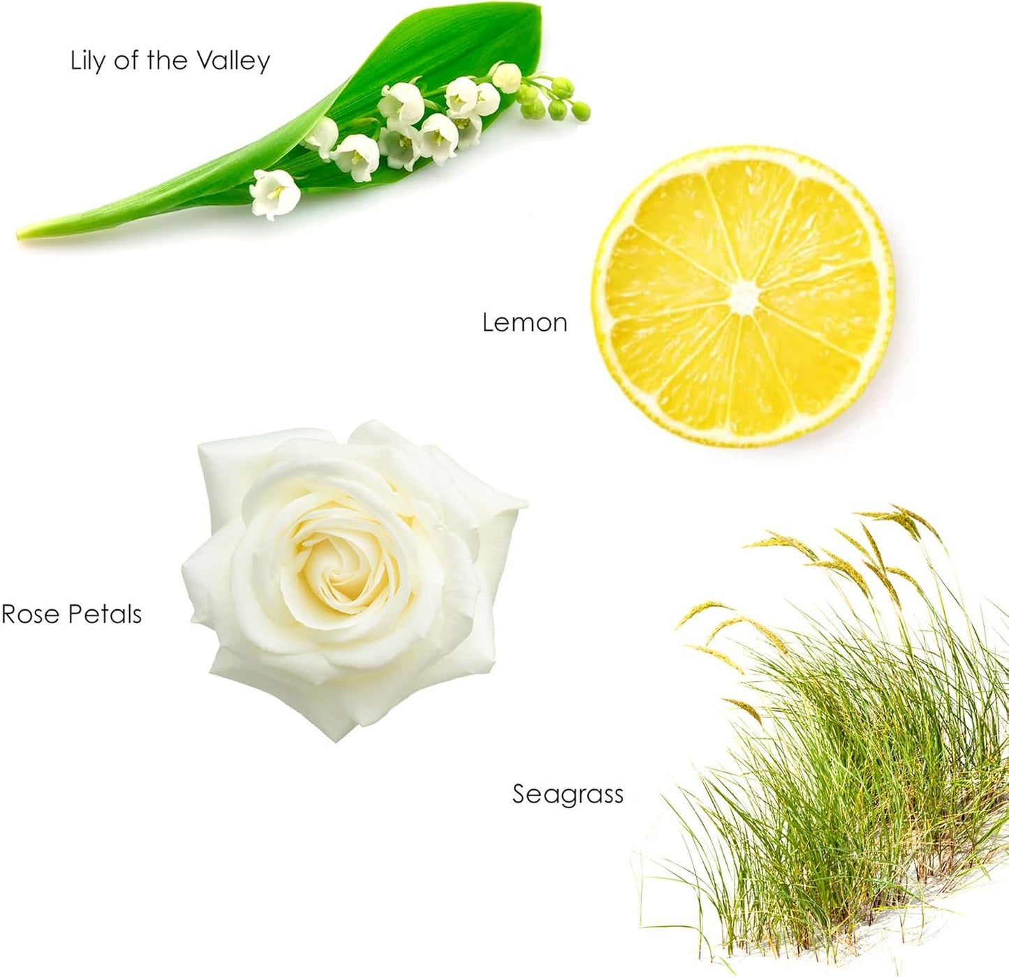 English Spa Room Spray - 3.5oz - Sea grass, lemon, and lily of the valley - For the entire home, bathroom, and travel