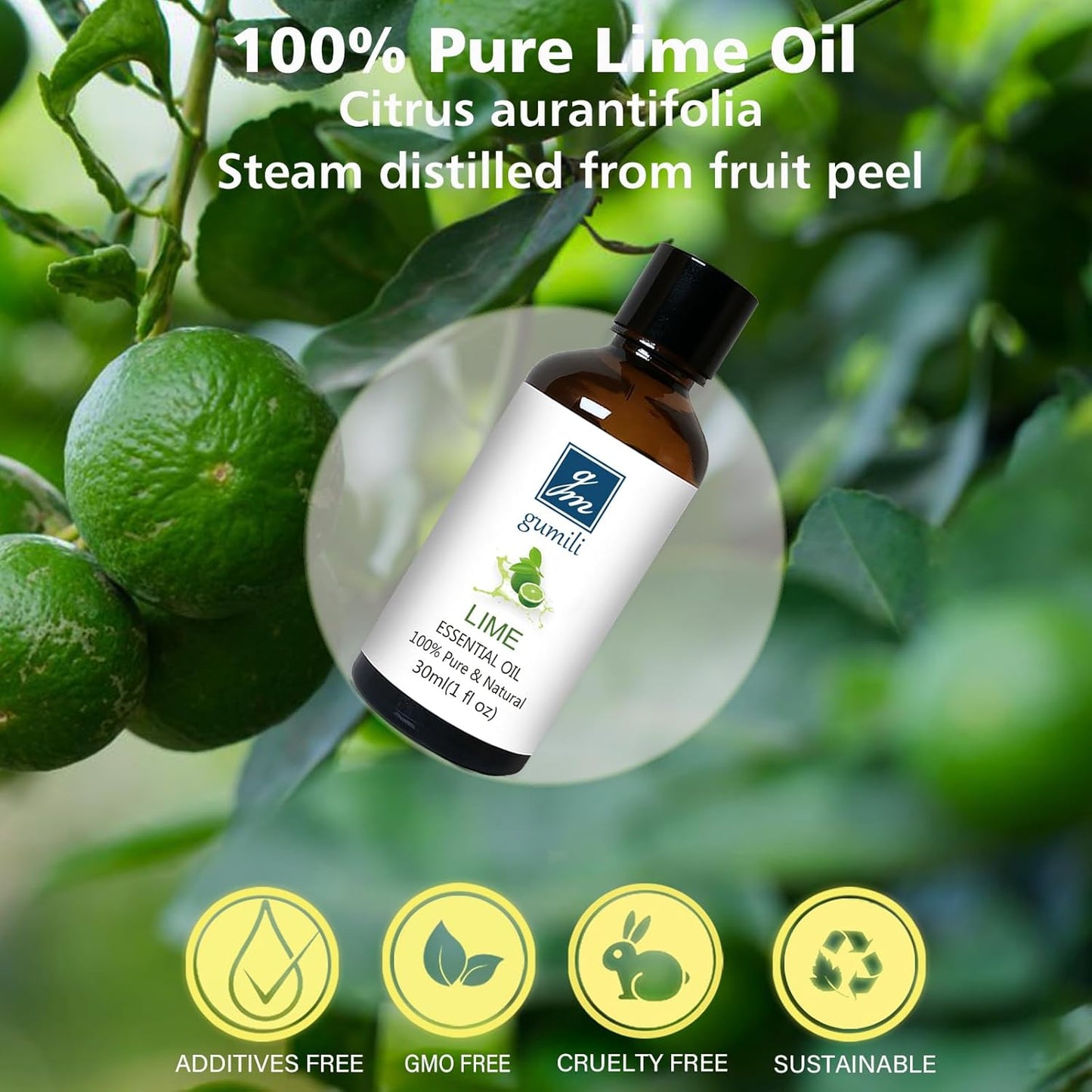GM Gumili Lime Essential Oil 1 oz, 100% Pure & Undiluted Lime Oil for Diffuser, Skin & DIY, Natural Citrus Oils