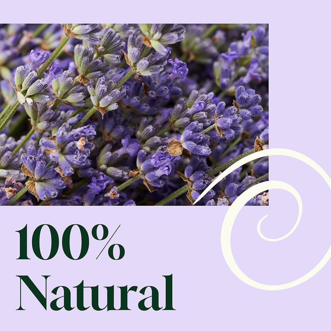 Plant Therapy Home Blissful Dreams Lavender Pillow and Linen Mist and Room Spray, for Relaxation & Sleep, Powered by Essential Oils Like Lavender & Roman Chamomile, Aromatherapy Sleep Spray, 8 oz