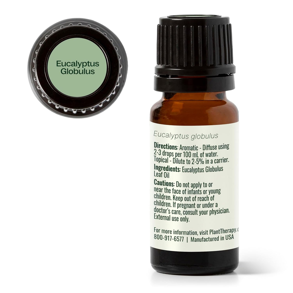 Plant Therapy Eucalyptus Globulus Essential Oil 10 mL (1/3 oz)