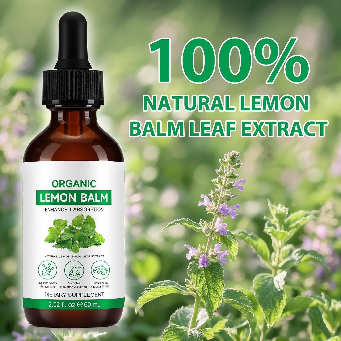 Lemon Balm Extract-Alcohol-Free, Natural Organic Lemon Balm Tincture Liquid for Women & Men, Helps to Relax, 590mg- 2.02 Fl.Oz