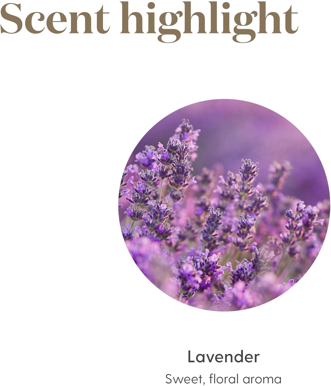 Young Living Lavender Essential Oil | Experience Skin Care Benefits | Ideal for Massage Aromatherapy | Tranquil Aroma and Soothing Scent | Natural Fragrance for Perfume | 5 ml