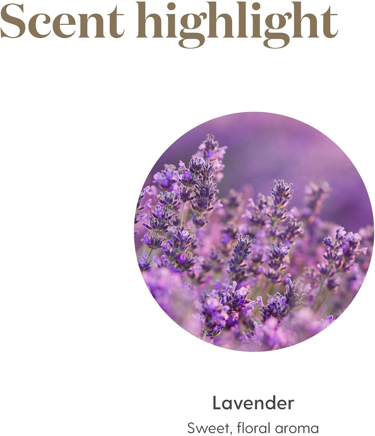Young Living Lavender Essential Oil