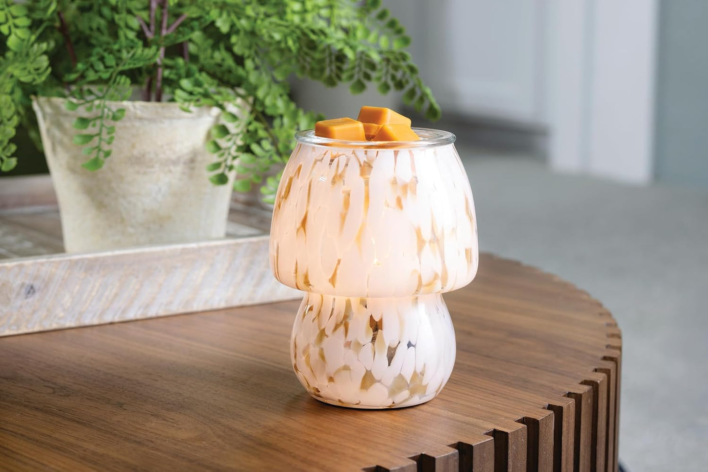 Candle Warmers