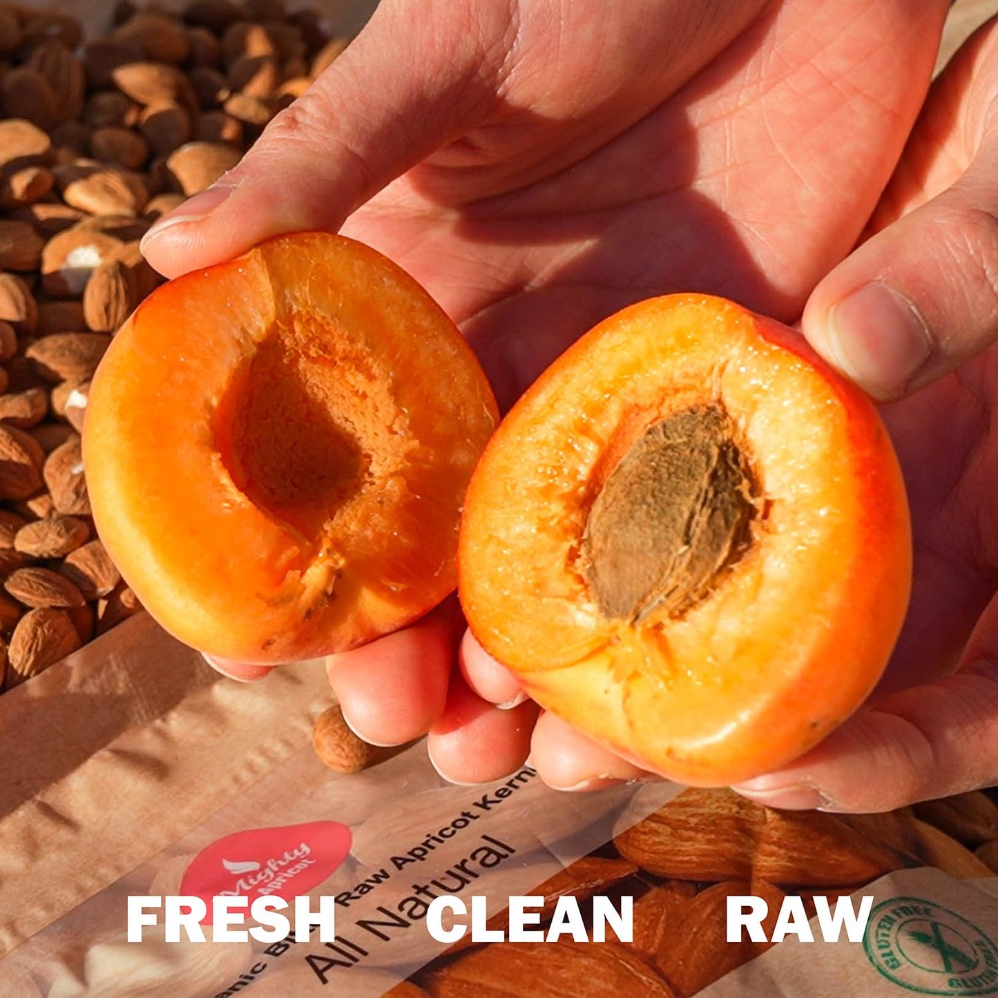 Mighty Apricot USDA Organic Bitter Apricot Kernels(1LB) 16oz, Natural Raw Bitter Apricot Seeds, Vegan, Non-GMO, Gluten Free, Great source of Vitamin B17 and B15, Maximum 3 Kernels/day