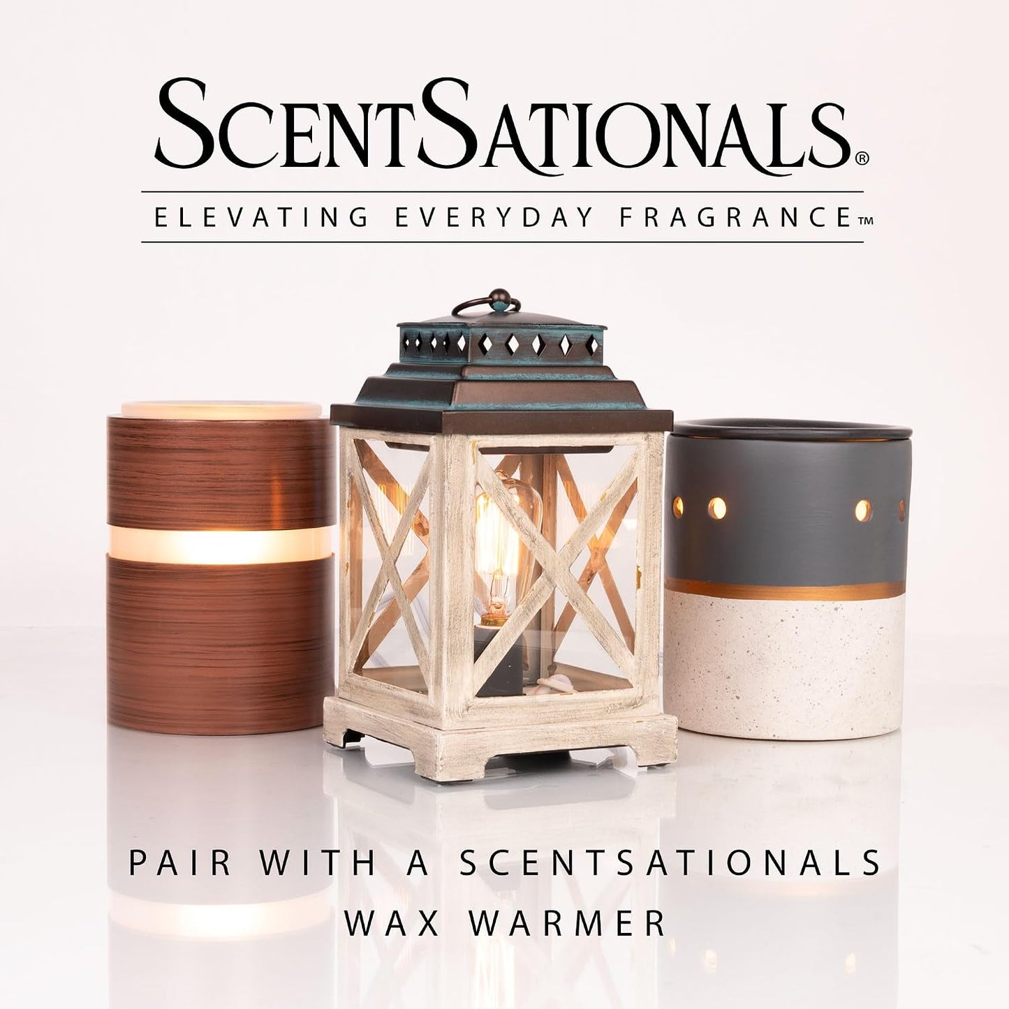 Scentsationals Mediterranean Grove Scented Wax Melts - Fig Leaf, Wild Thyme, & Olive Wood, 10oz (24 Cubes)
