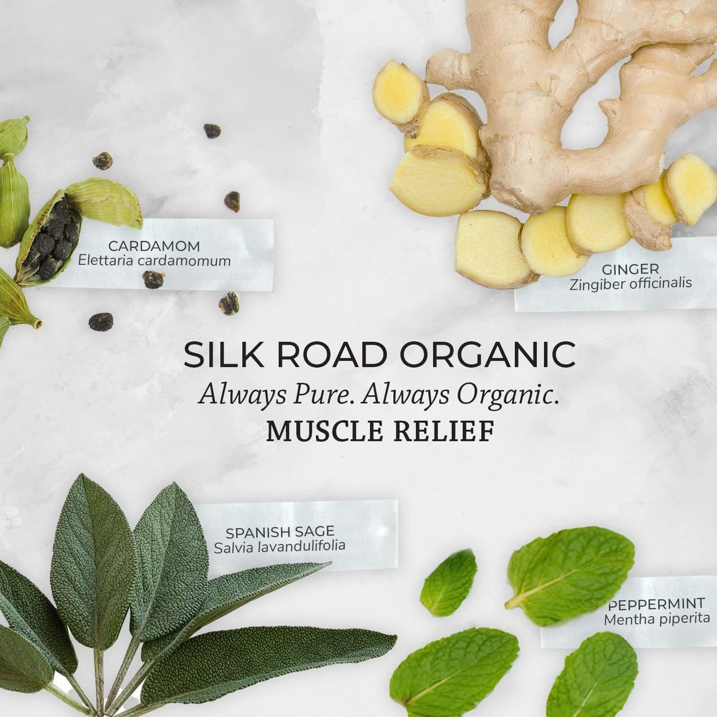 Silk Road Organic Muscle Relief Essential Oil Blend Roll On for Muscle Aches & Stiff Joints | USDA Certified Aromatherapy with Peppermint & Ginger - 10 ml Roller