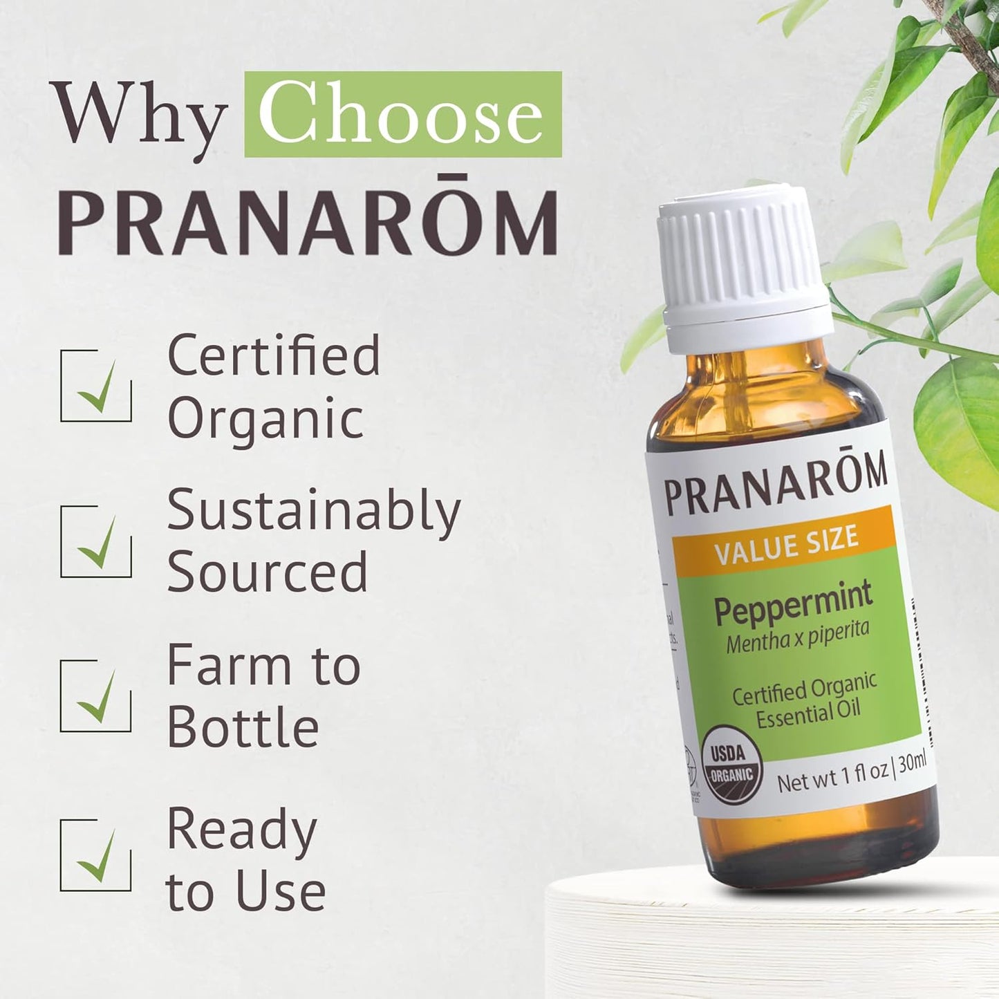 Pranarom USDA Certified Organic Peppermint Essential Oil (30ml), 100% Pure Undiluted Therapeutic Grade from India for Aromatherapy, Diffuser, Topical, Cooling, Massage & Relaxation