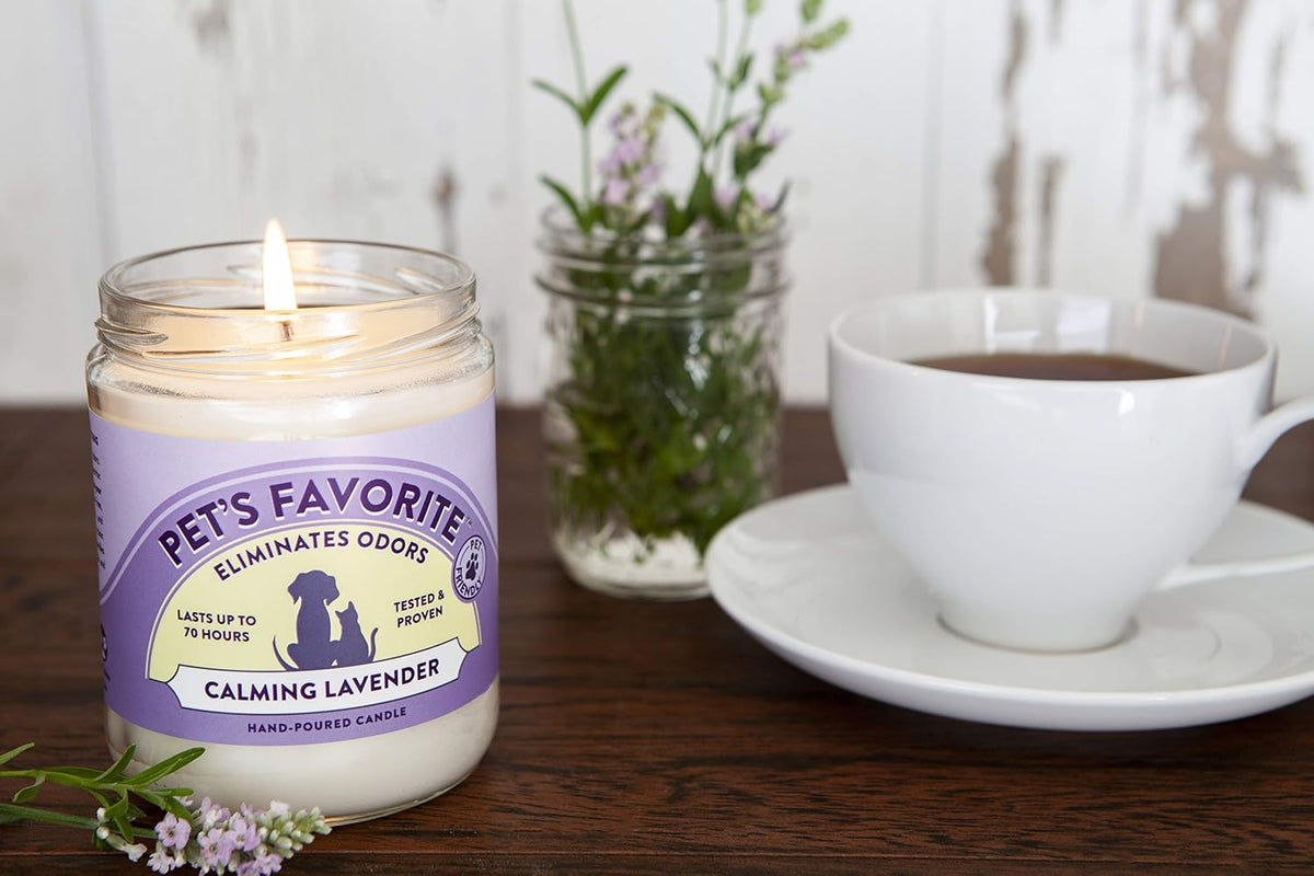 Calming Lavender Pet Odor Eliminator Candle Pet Friendly, 1 Pack