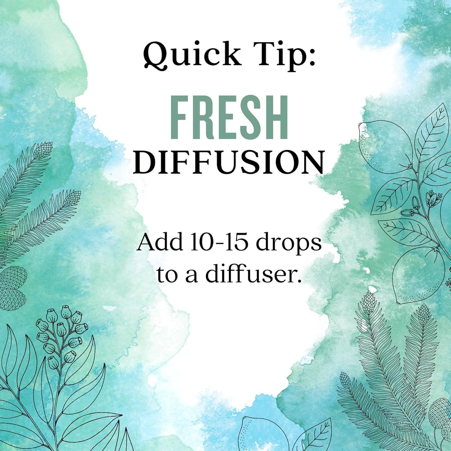 Aura Cacia Fresh Essential Oil Blend, Boxed 0.25 fl. oz. - Light Aroma, No Synthetic Fragrances