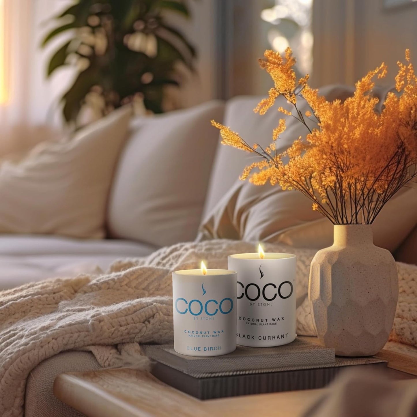 COCO by Stone 11oz Candle, Coconut Apricot Wax Candle for Home (Baies) Home Fragrance Products, 1 Wick Candle, Enhance Indoor Aroma, Vegan & Cruelty-Free, Clean Burning and Hand Poured Candle
