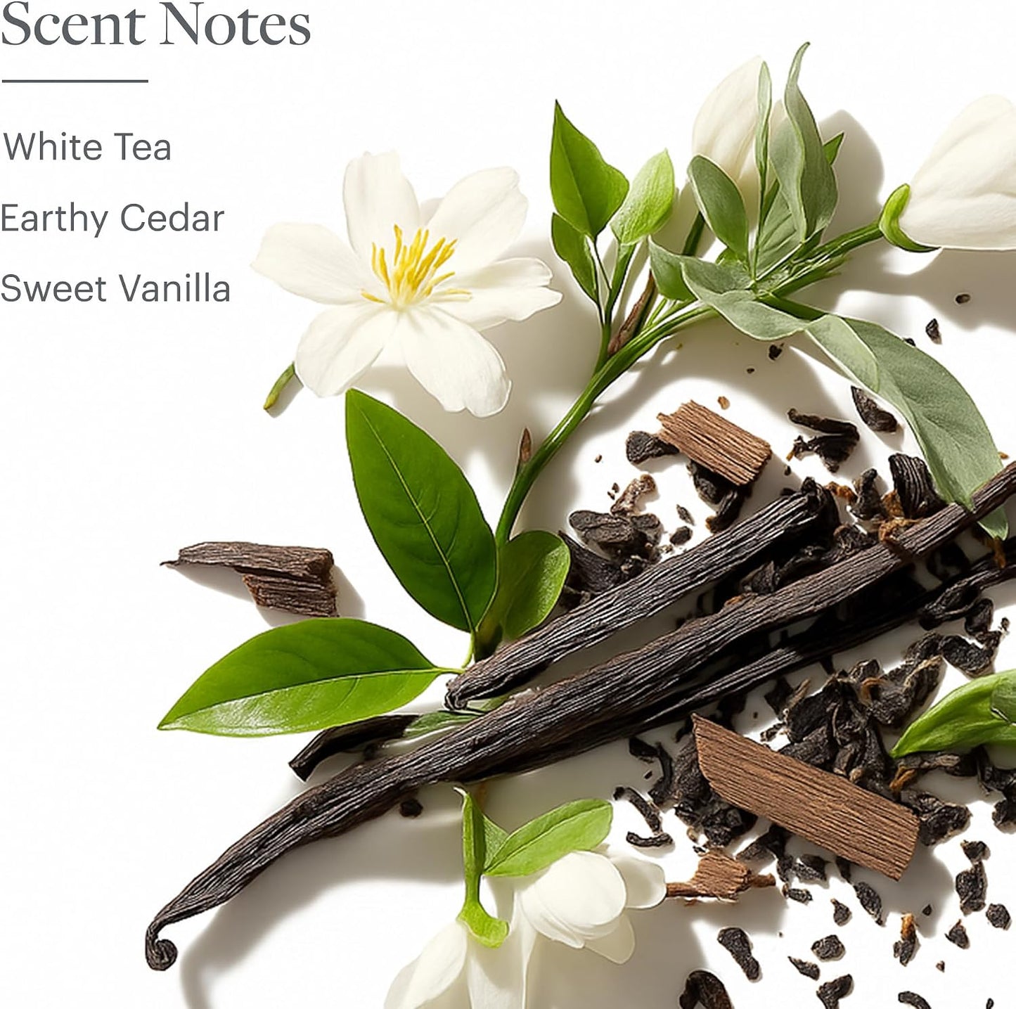 Westin White Tea Potpourri - Signature White Tea Scent - with Hydrangea, Pinecones, Gardenia, and Apple - 12 oz.