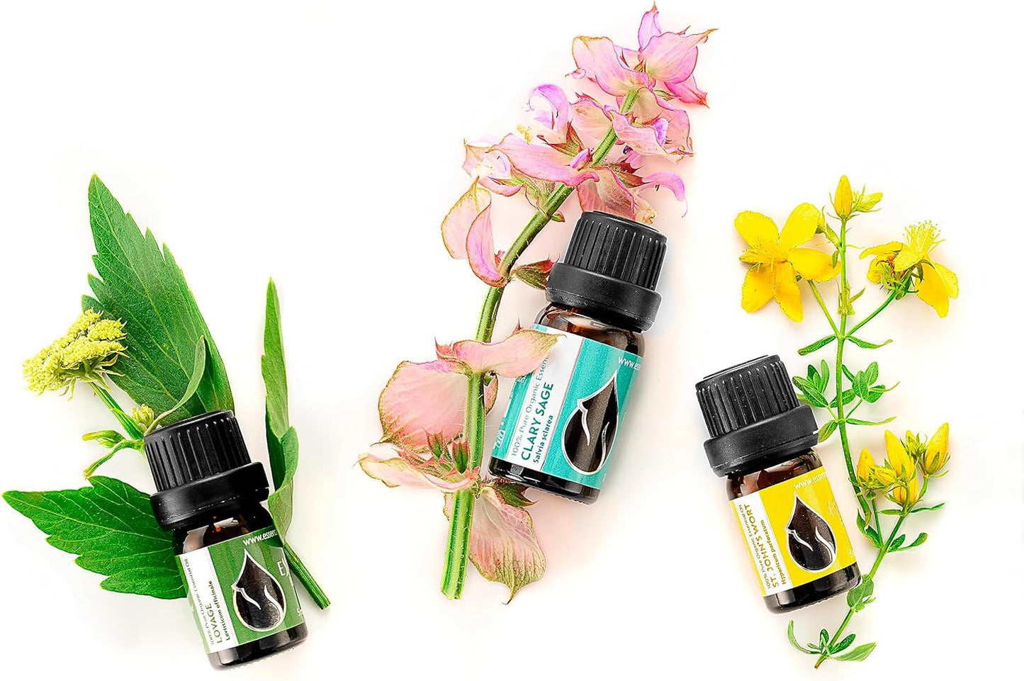 Essences Bulgaria Organic Clary Sage Essential Oil 1/6 Fl Oz | 5ml | Salvia sclarea | 100% Pure and Natural | Undiluted | Therapeutic Grade | Family Owned Farm | Steam-Distilled | Non-GMO | Vegan