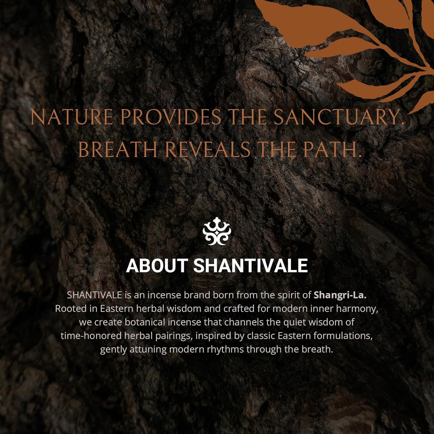 100% Natural Incense Sticks with Holder, Rare Cliff Cypress Incense from Shangri-La for Inner Harmony & Balance Support, 40-Minute Burn, Low Smoke, Non-Toxic, Gifts for Women
