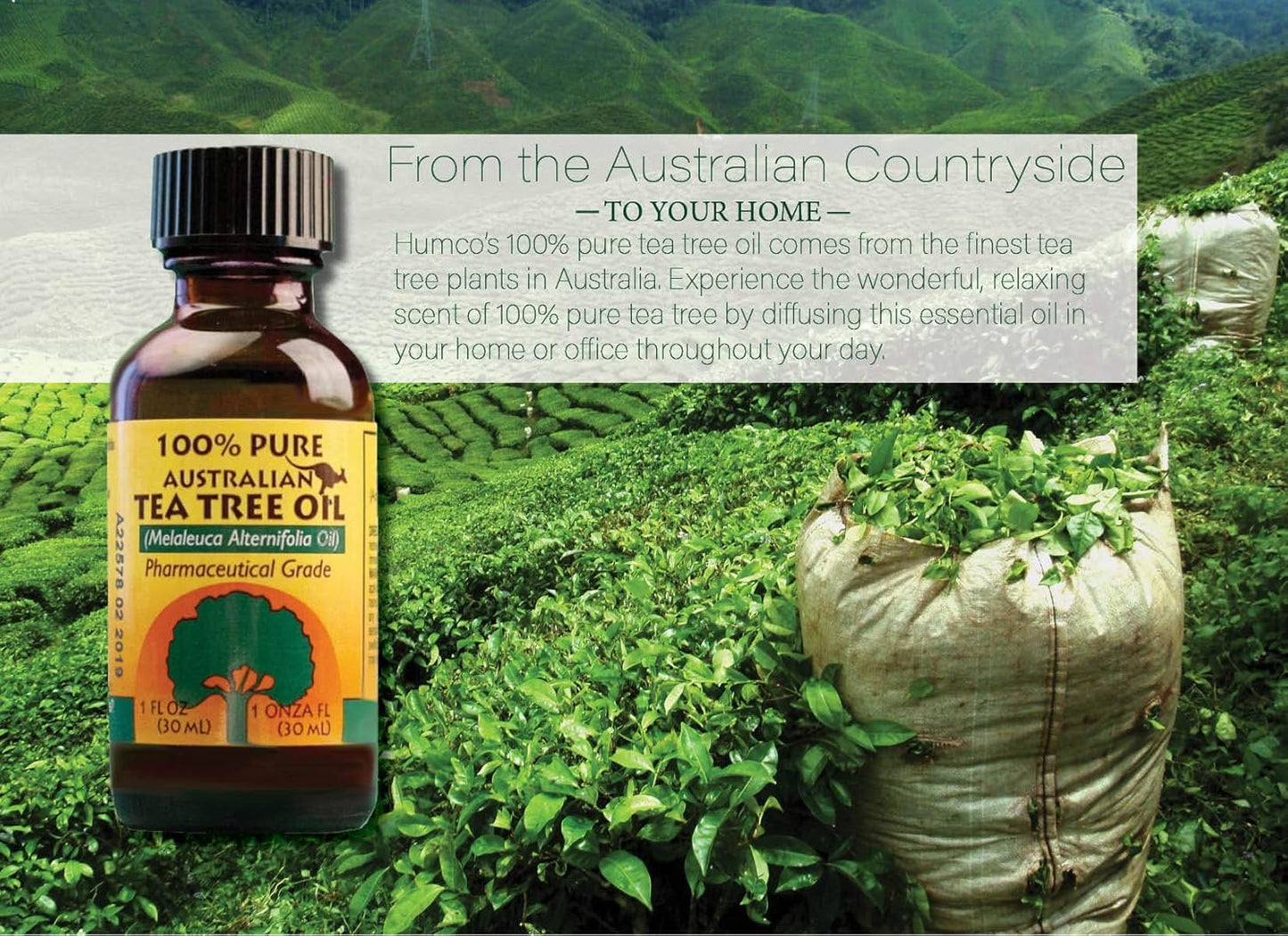 481791001 100% Pure Australian Tea Tree Oil