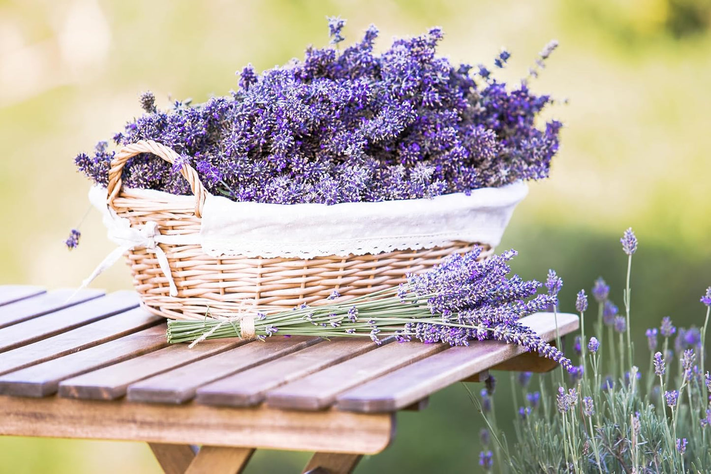 Lavender 40/42 Essential Oil - 100% Pure & Natural - Bulk 64 fl oz (1892ml) - Therapeutic Grade Lavender Oil for Diffuser, Relaxation & DIY