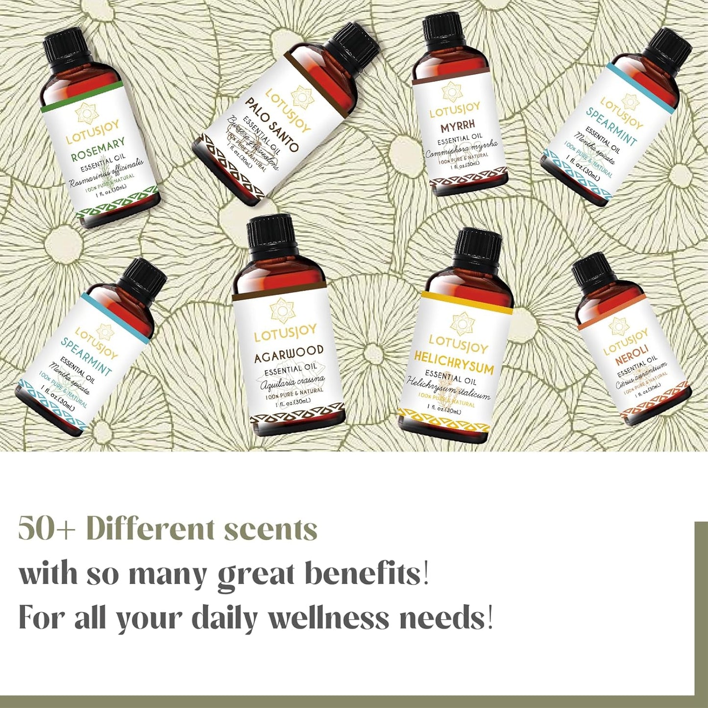 Helichrysum Essential Oil 1 Oz – 100% Pure & Natural – Helichrysum Oil for Bruising, Skin, Aromatherapy, Massage & DIY Use
