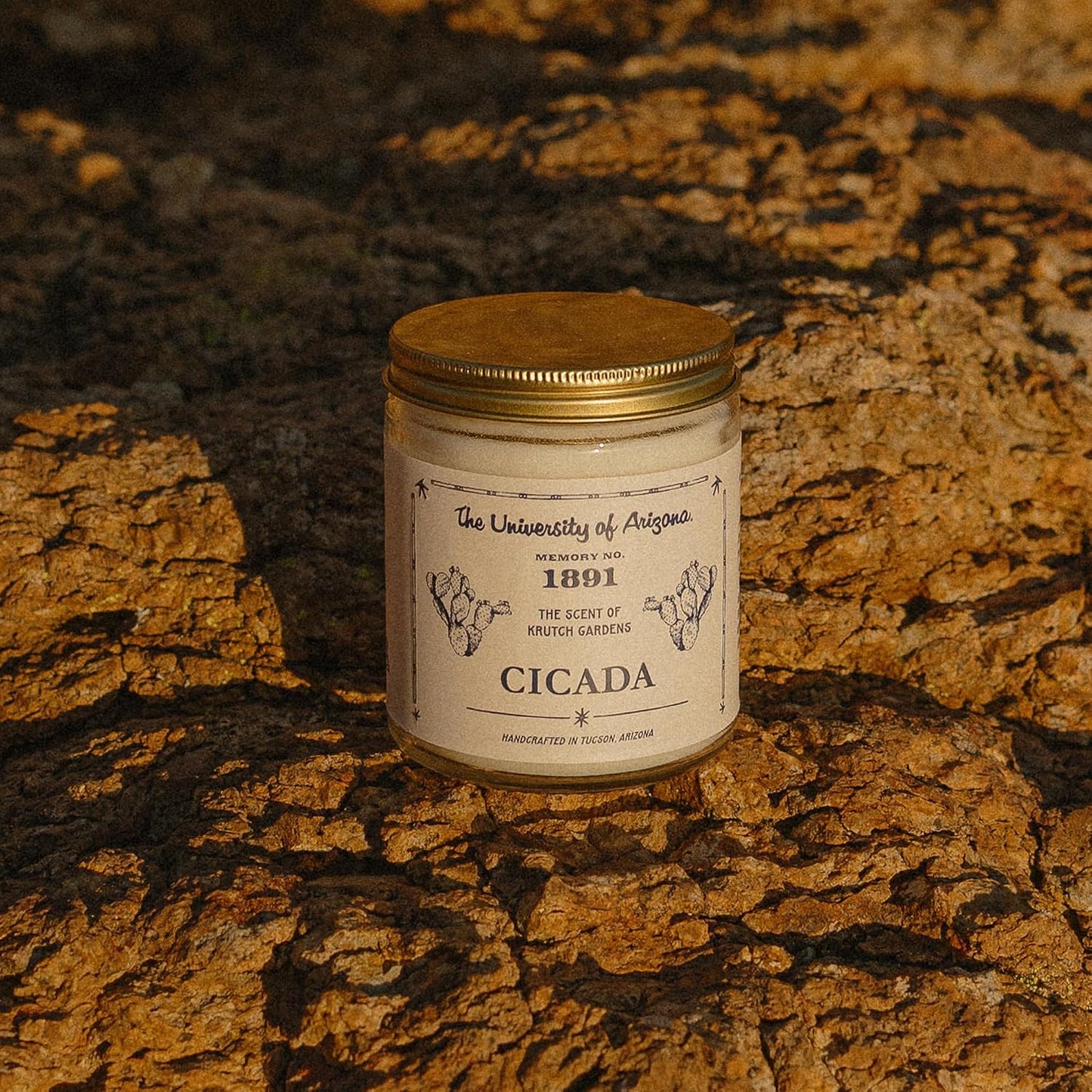 CICADA University of Arizona Inspired Scented Candle Bundle, Coconut-Soy Blend Wax Candles, Hand-Poured Arizona Home Fragrance Collection, 4-Scent Bundle (Four 7 oz Jar Candles)