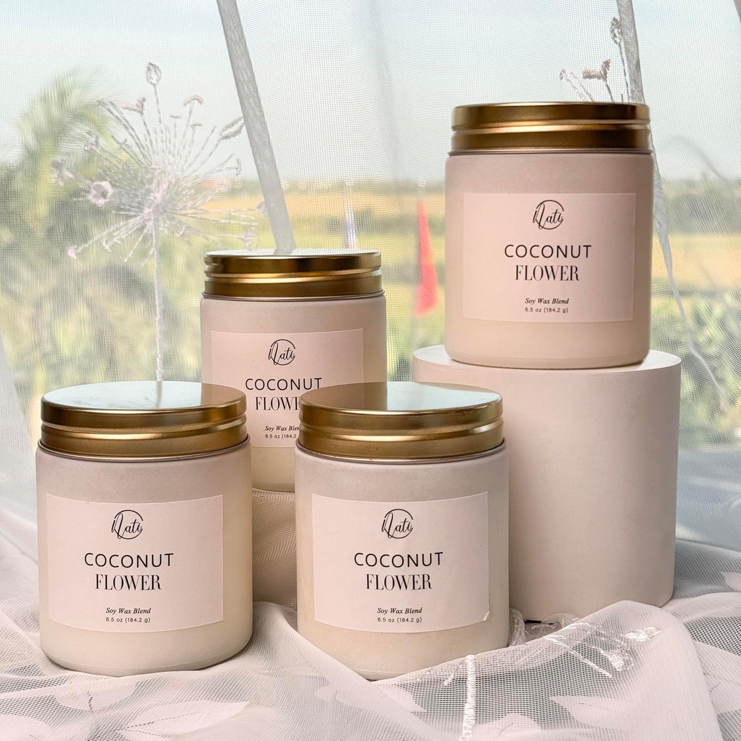 CW Studio Set of 4 Coconut Flower Scented Candles – Natural Soy Wax Blend – 6.5oz Frosted Sage Glass Jar with Gold Screw Lid – Single Cotton Wick, 33H, Smokeless (White)