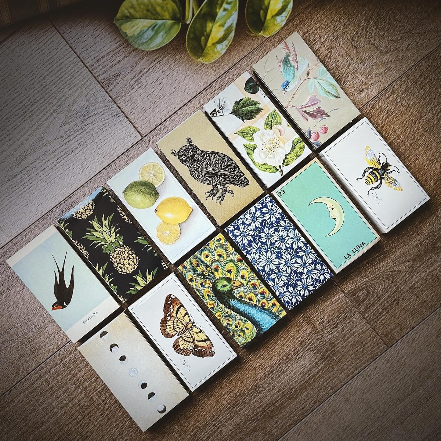HomArt Matchbox Designs of Your Choice (4 Unique Box Designs with 4" Matches, Striking Stickers by Thankful Greetings) Decorative & Festive for Home Decor, Gifts, Accessories Long Safety Matches