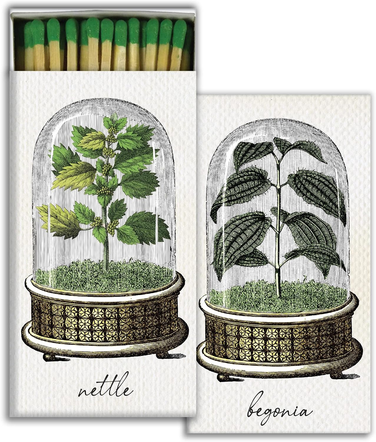 HomArt - Match Box Set of 2 - Cloche