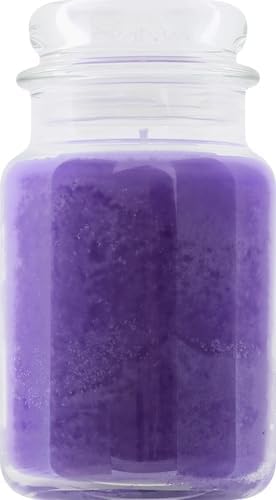 Yankee Candle Lilac Blossoms Scented Classic 22oz Large Jar Single Wick Candle Over 110 Hours of Burn Time Perfect for Gifting Gatherings and Seasonal Decorations
