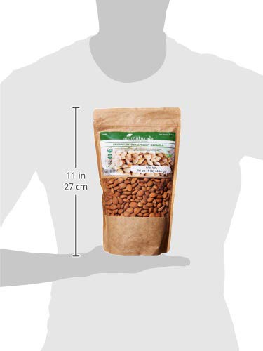 Bitter Apricot Kernels Organic Raw (1LB) - USDA Organic Certified – Product of Turkey