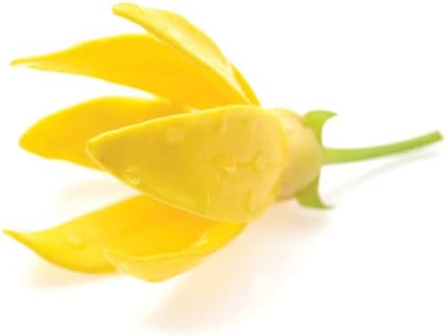 doTERRA Ylang Ylang Essential Oil - 15 ml