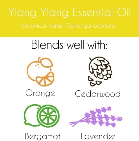 Ylang Ylang Essential Oil - 1 fl oz (100% Pure & Uncut) - Greenhealth