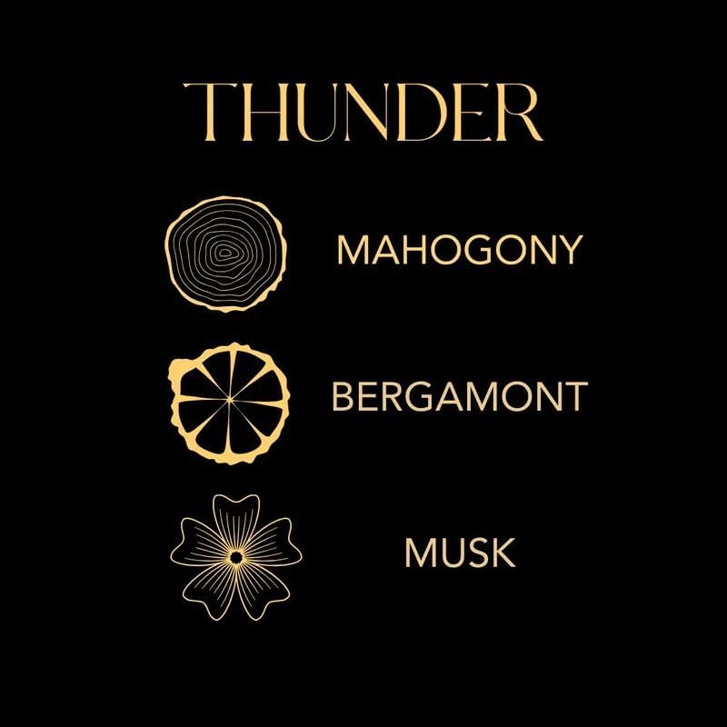 DW Home Reed Diffuser Set Thunder Scent for Bathroom Shelf Decor Home Fragrance with Sticks, 3.7 Oz Scented Diffuser Oil for Bedroom Office Decor & Gift, Studio Classics Collection