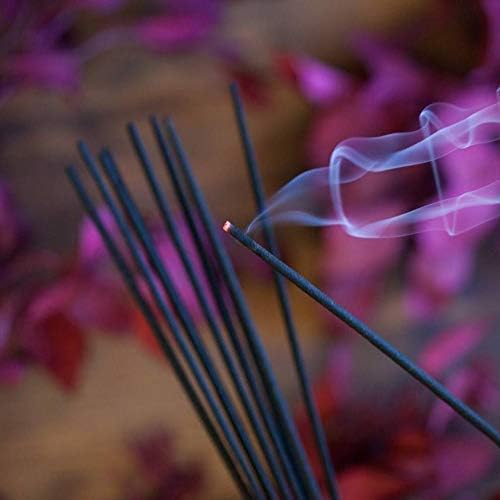 Hem Incense Sticks – 6 Fragrances (Lavender, White Sage, Frankincense, Dragon’s Blood, Palo Santo & Sandalwood) | 120 Sticks | Natural Aromatherapy for Meditation, Relaxation & Home Fragrance