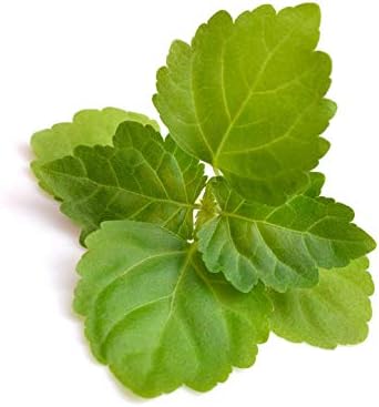 US Organic 100% Pure Patchouli Essential Oil - USDA Certified Organic, Steam Distilled - W/Euro droppers (More Size Variations Available) (15 ml / .5 fl oz)