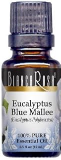 Eucalyptus Blue Mallee Essential Oil (0.50 oz, ZIN: 429105)